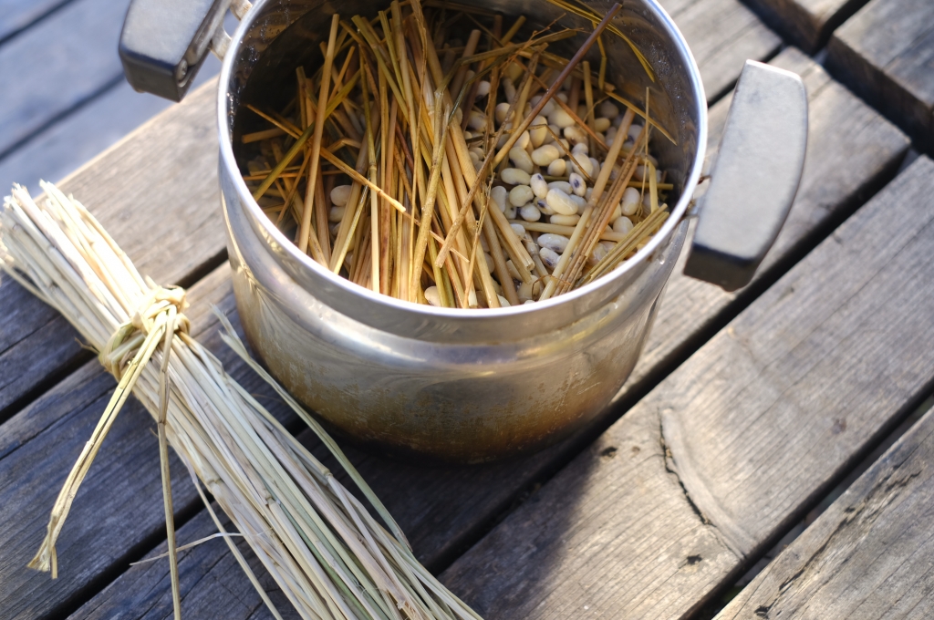 <iframe style="width:120px;height:240px;" marginwidth="0" marginheight="0" scrolling="no" frameborder="0" src="//rcm-fe.amazon-adsystem.com/e/cm?lt1=_blank&bc1=FFFFFF&IS2=1&bg1=FFFFFF&fc1=000000&lc1=0000FF&t=mamepoem-22&o=9&p=8&l=as4&m=amazon&f=ifr&ref=as_ss_li_til&asins=B077V5Q7HX&linkId=3530a621641ce3eff08fd328fe05bbe3"></iframe>